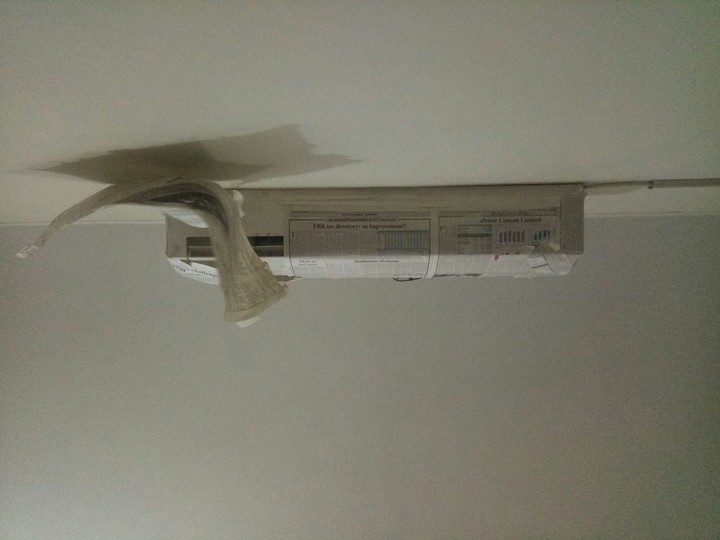 Newspaper