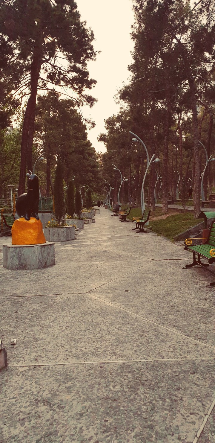 sit and go