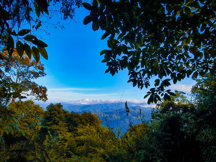 View