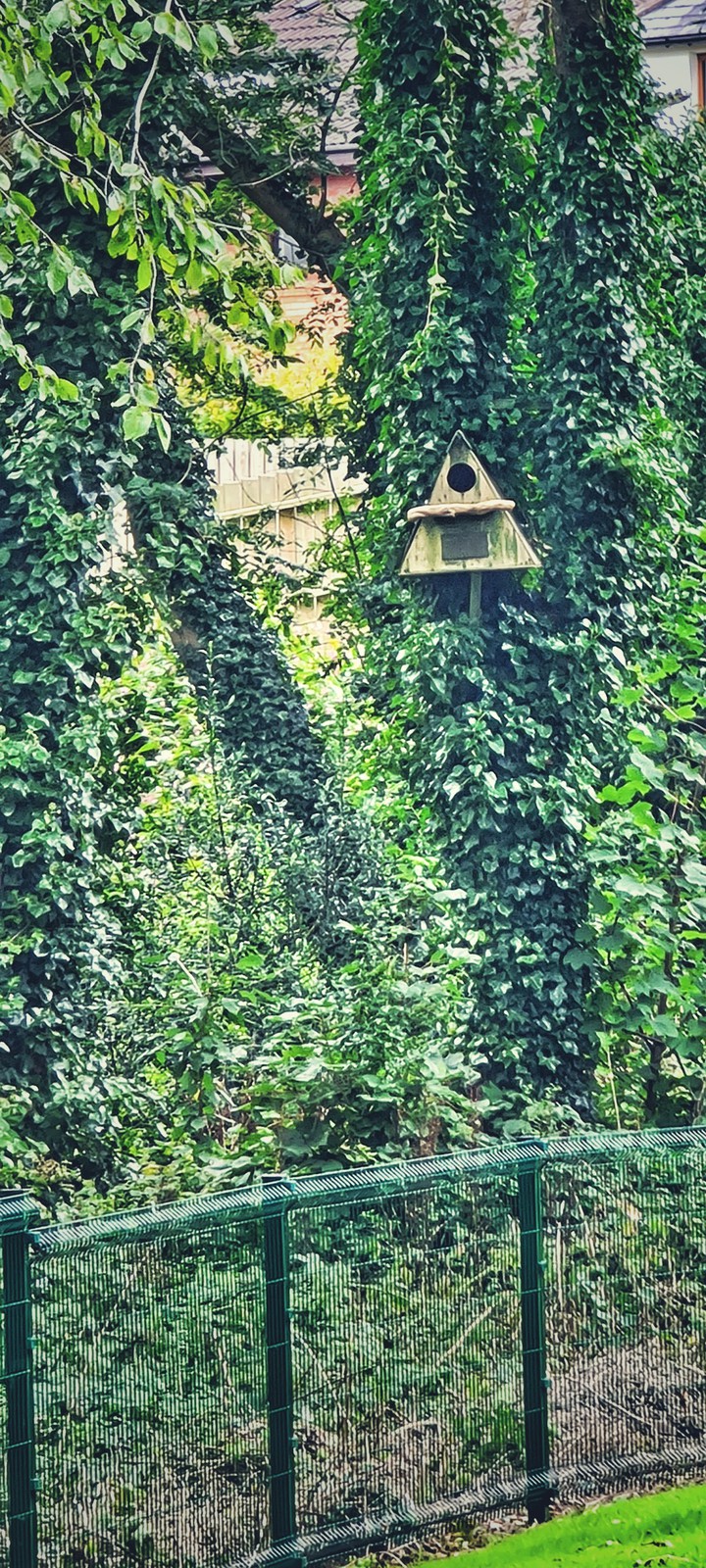 tree house