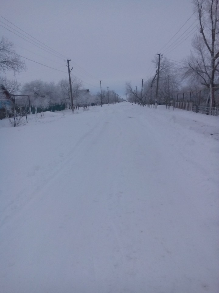 Winter