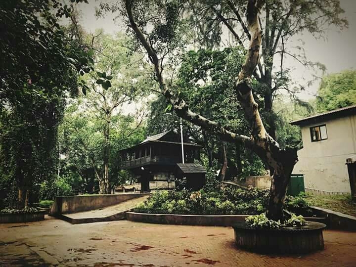 Craft museum #new delhi