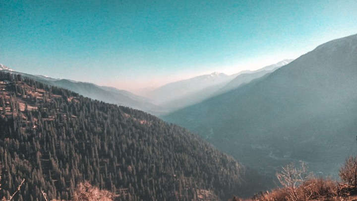 VALLY