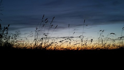 Sonnenuntergang hinter einer Wiese