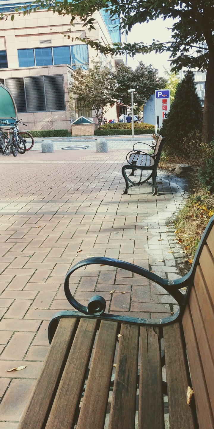가을풍경