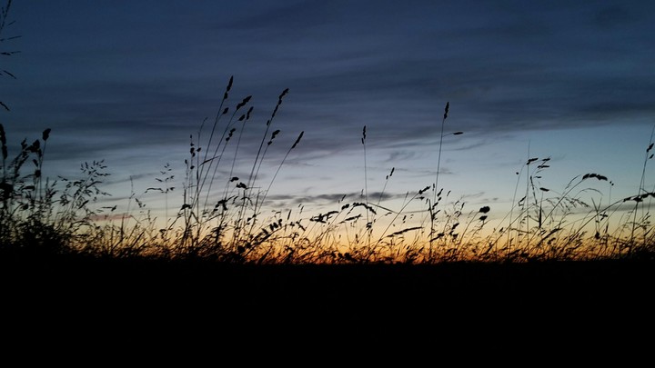 Sonnenuntergang hinter einer Wiese