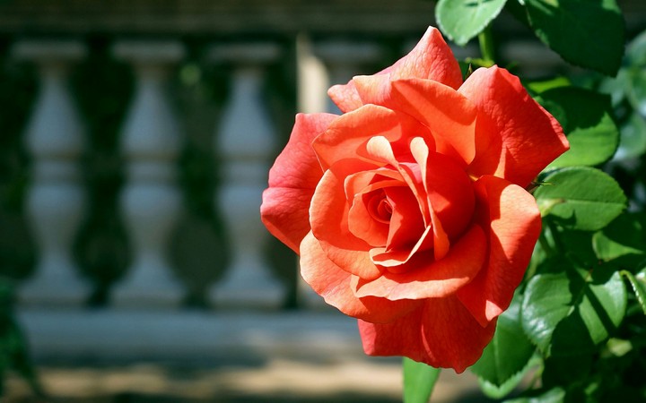 For you and just YOU