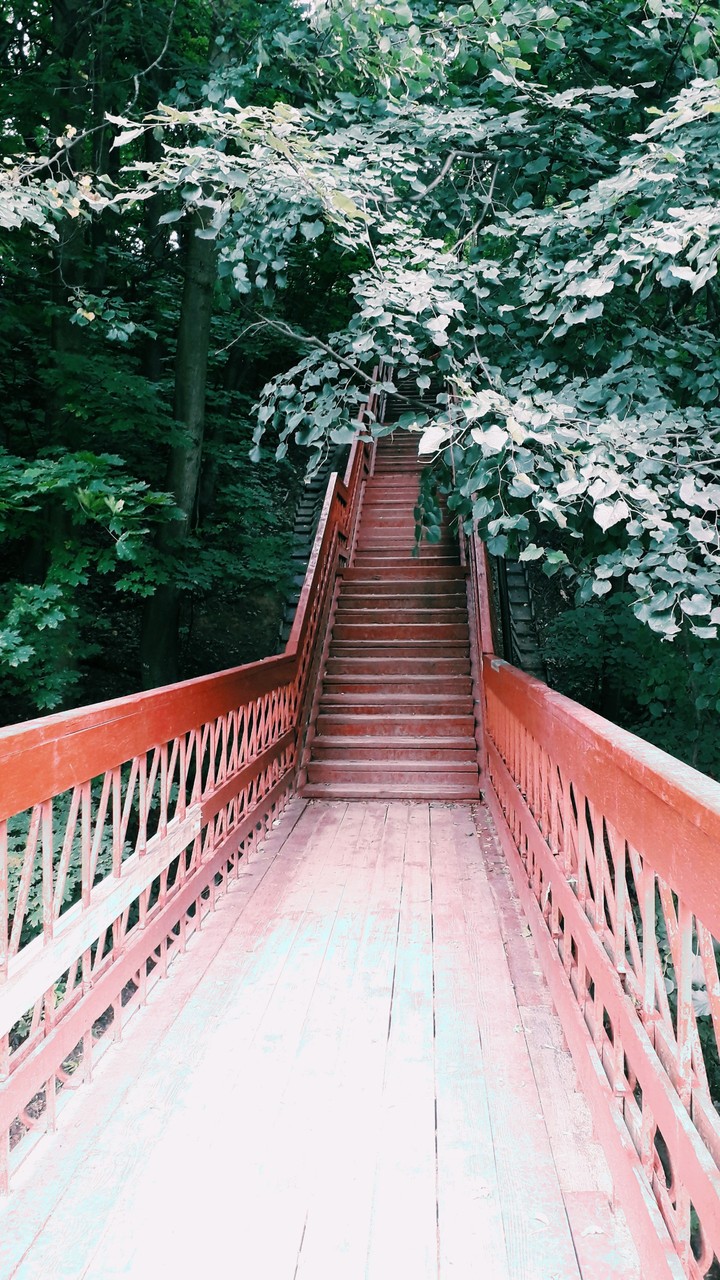 лестница в небо