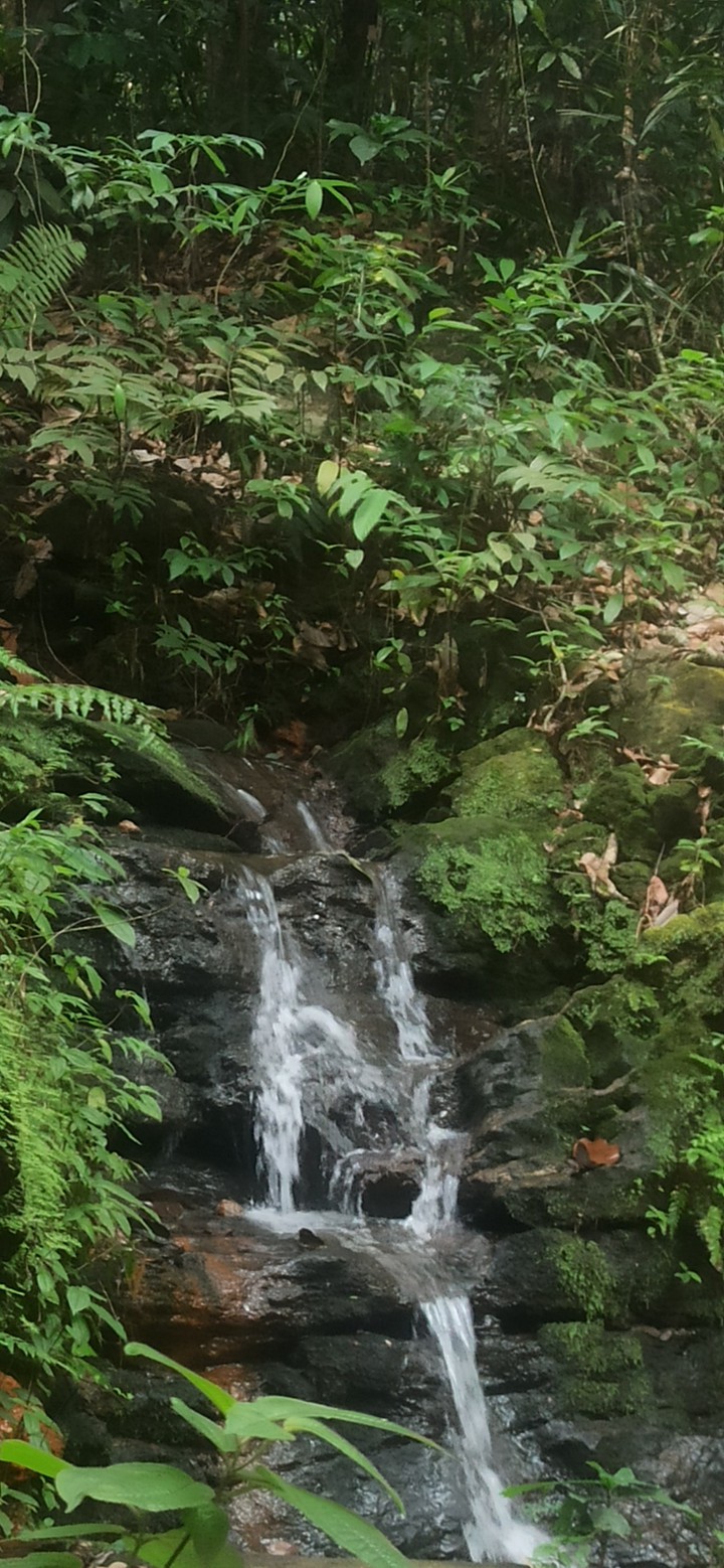 nature