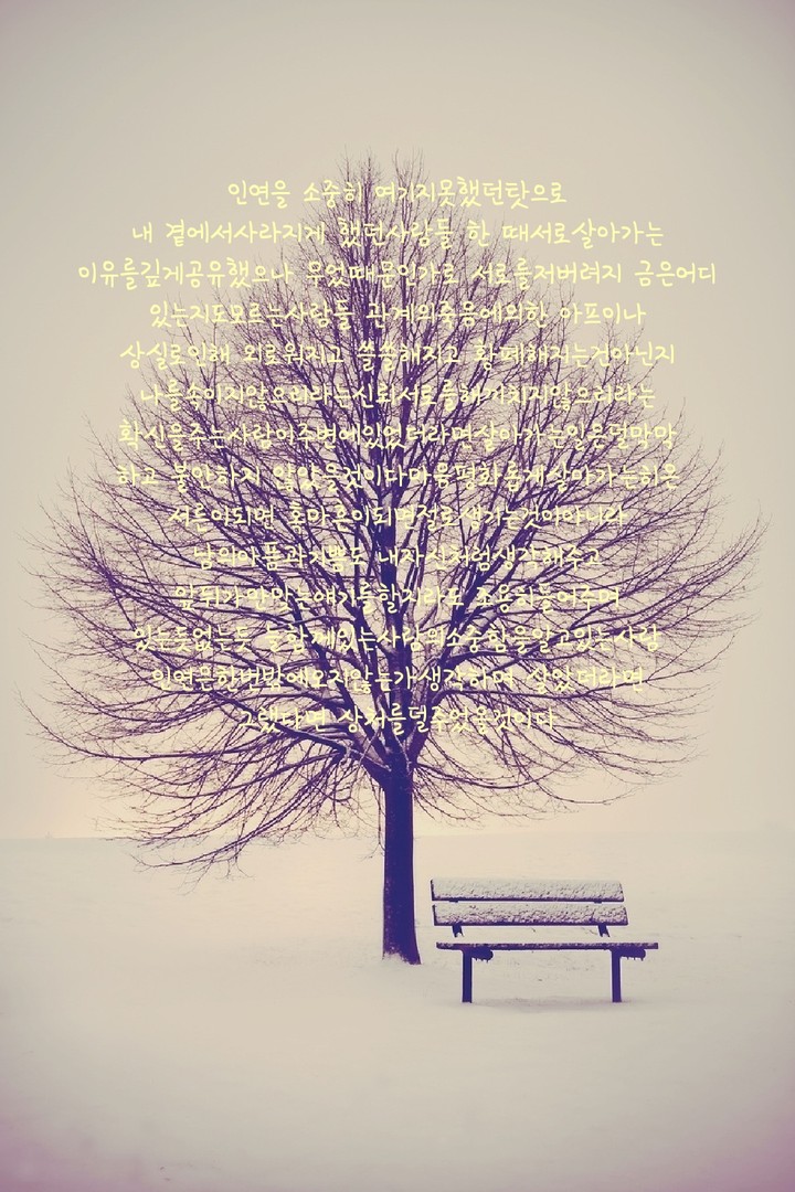 아리