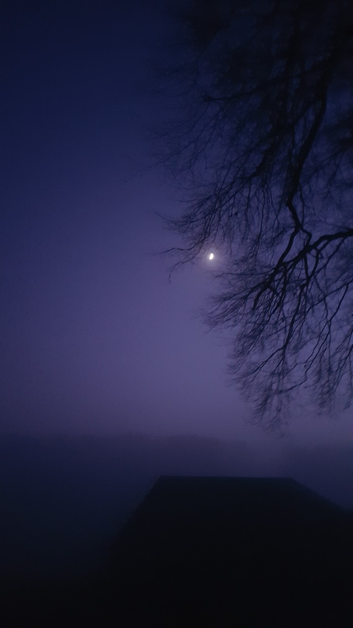 Mist