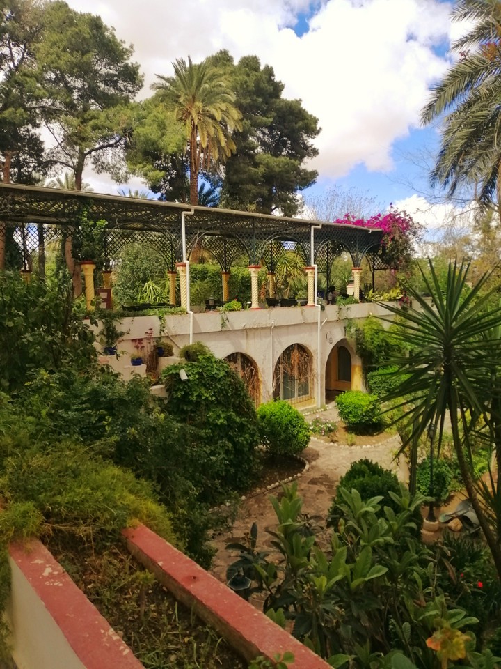 verdure