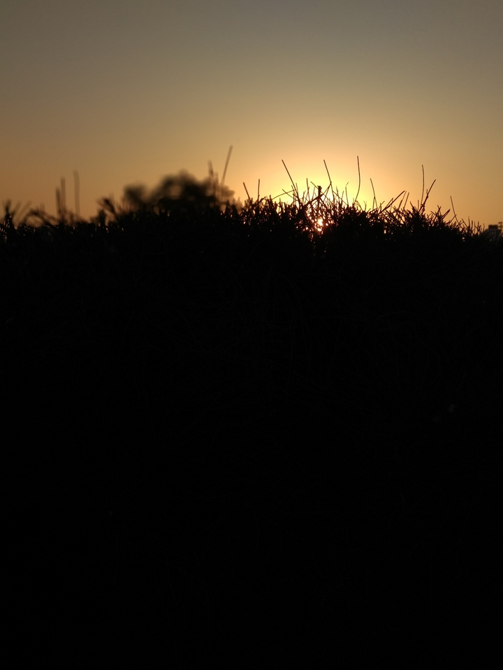 sunrise