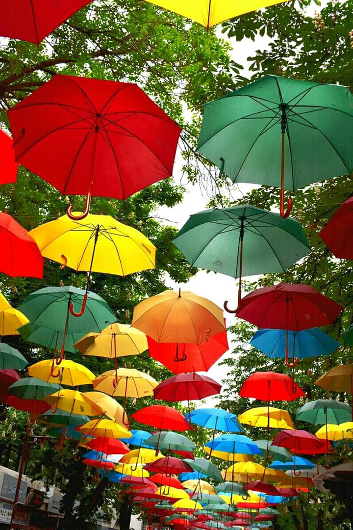 #umbrellas