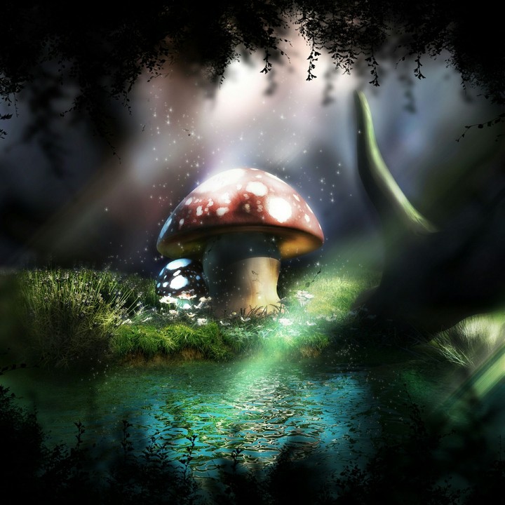 Woods