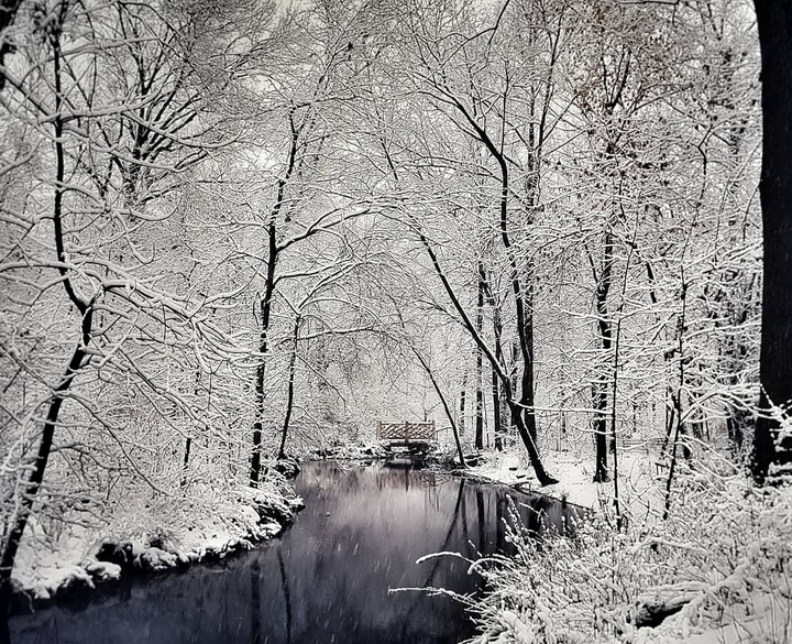 winter wonderland