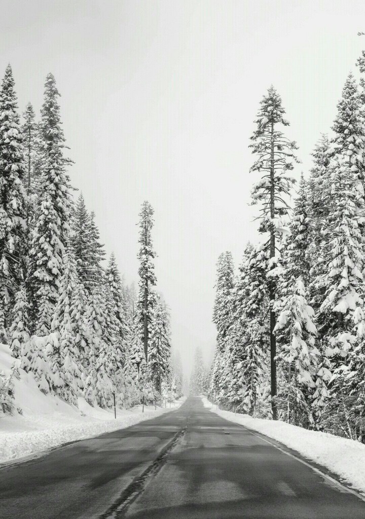 Snow