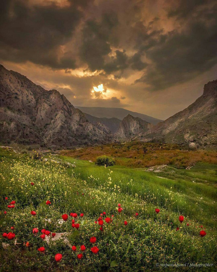 iran