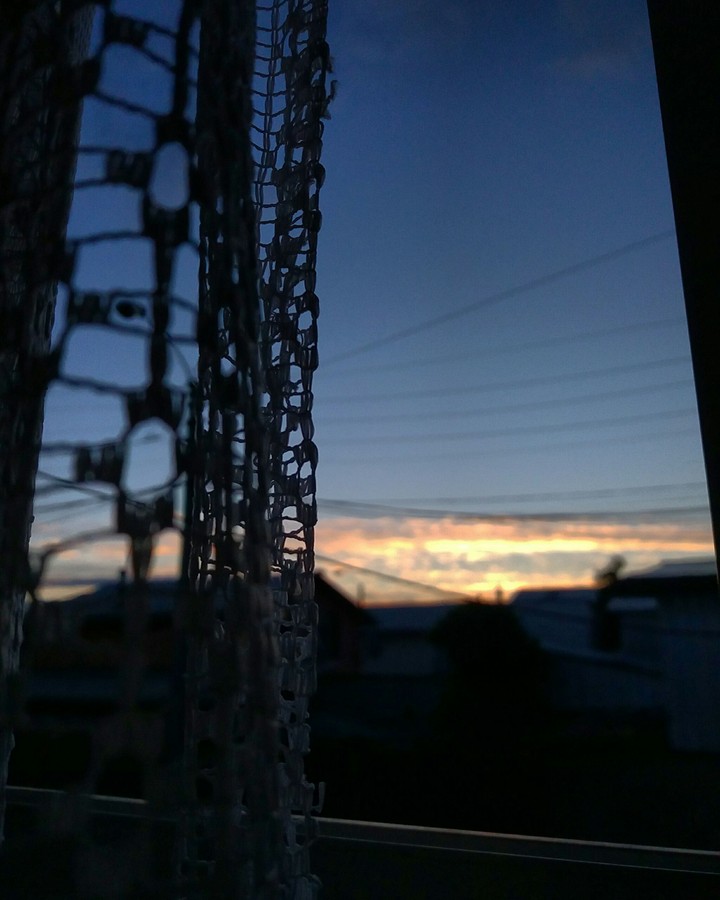 the windows