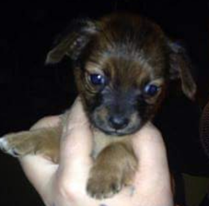 Baby Atticus