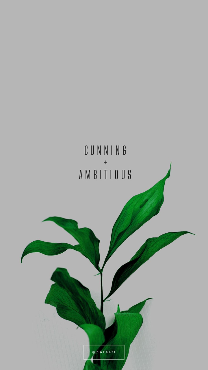 Plant