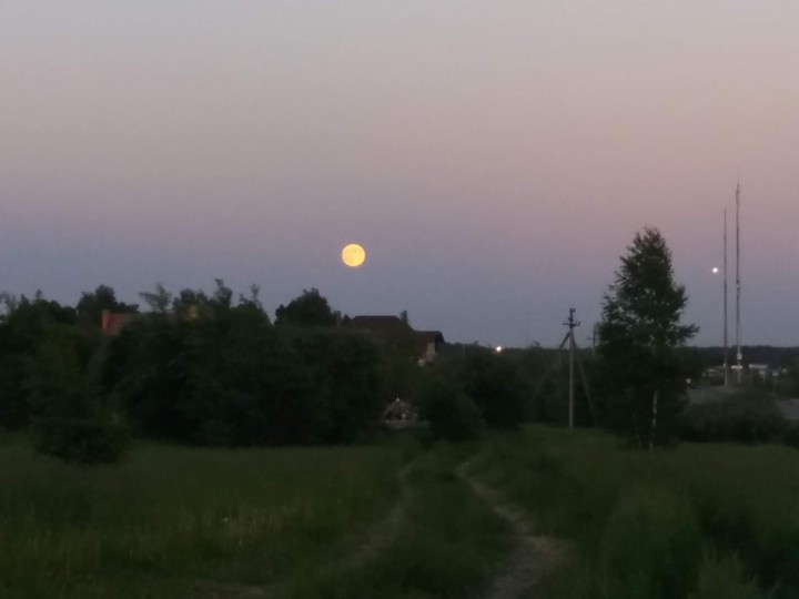 night