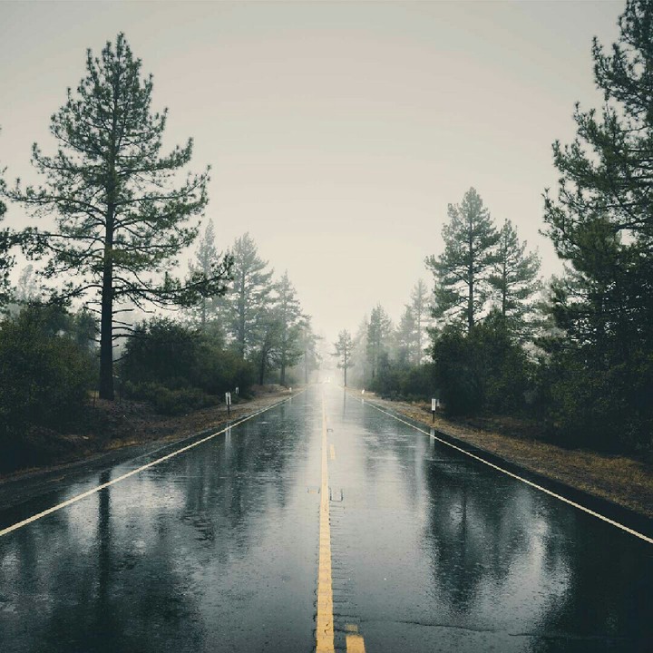 Alone road