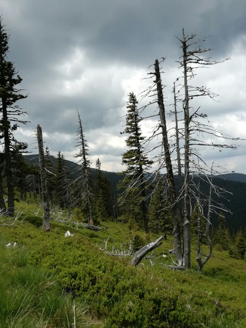 Nature