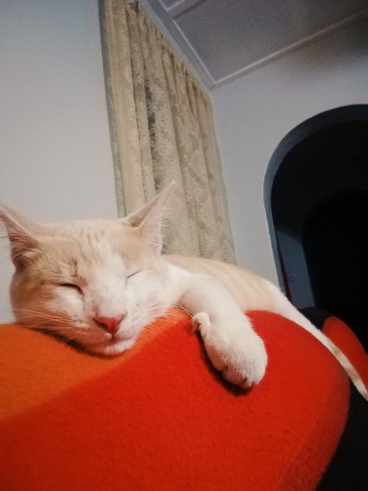My baby
