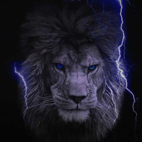 Flash lion