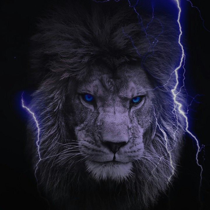 Flash lion