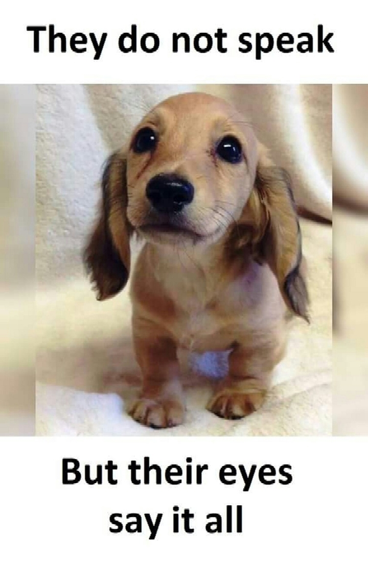 ♥