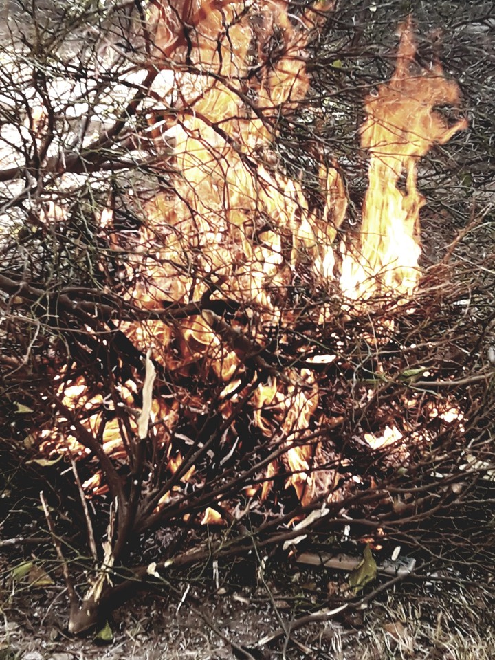 taken by me!! camp fire