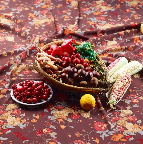 Fruit