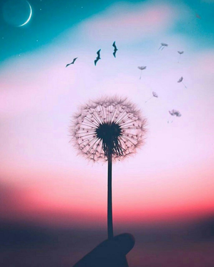 night