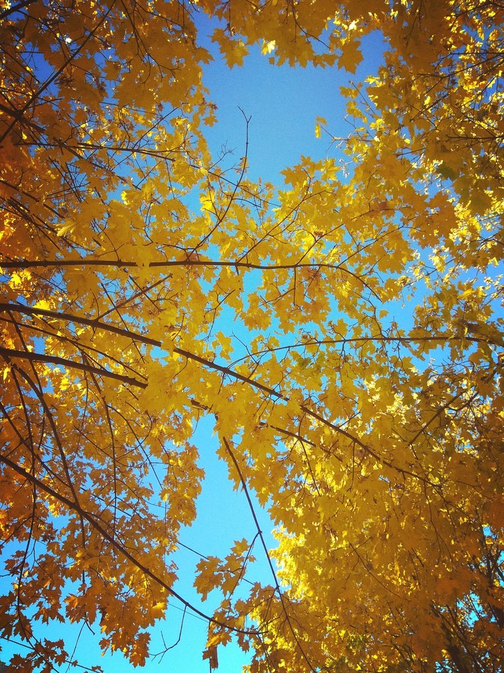 Sunny day