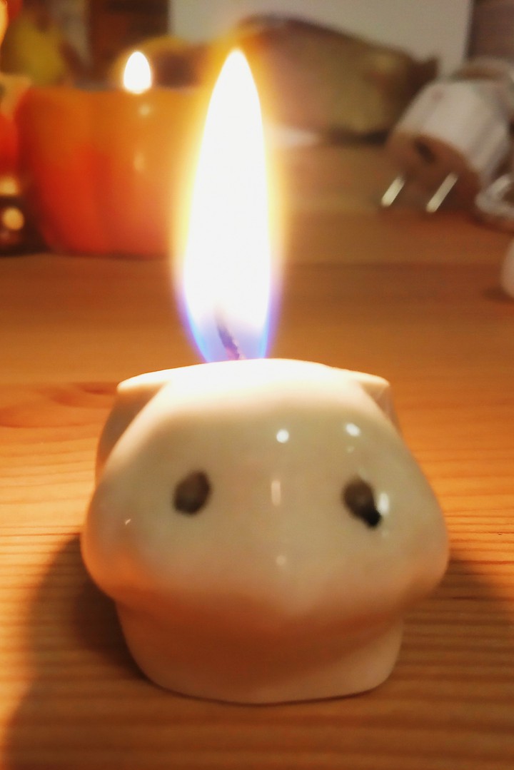 Sheep in fire
