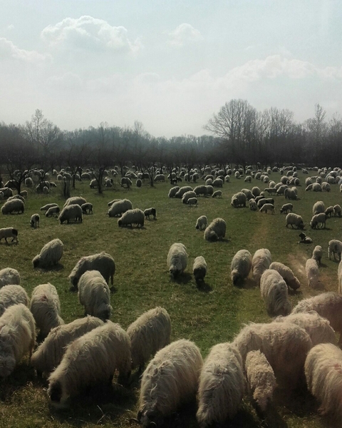 By the road