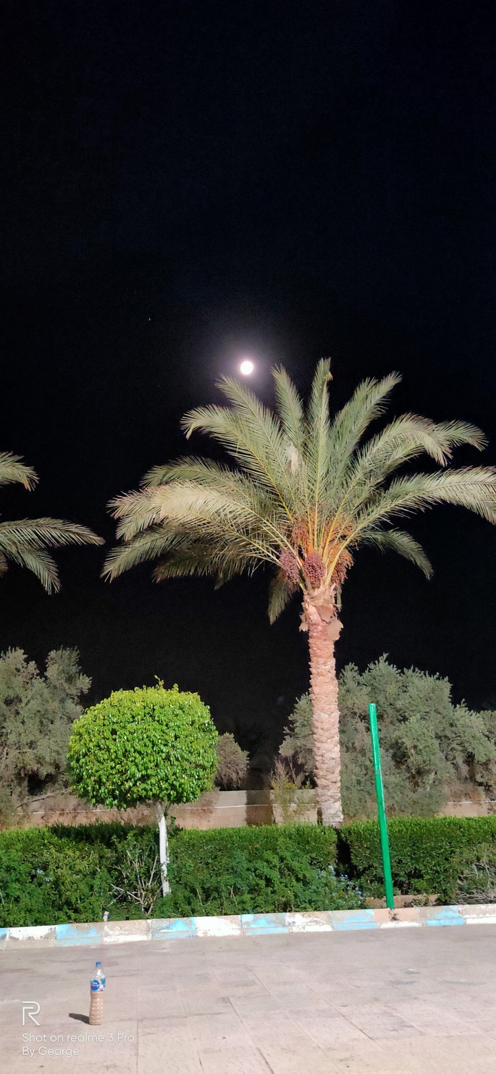moon