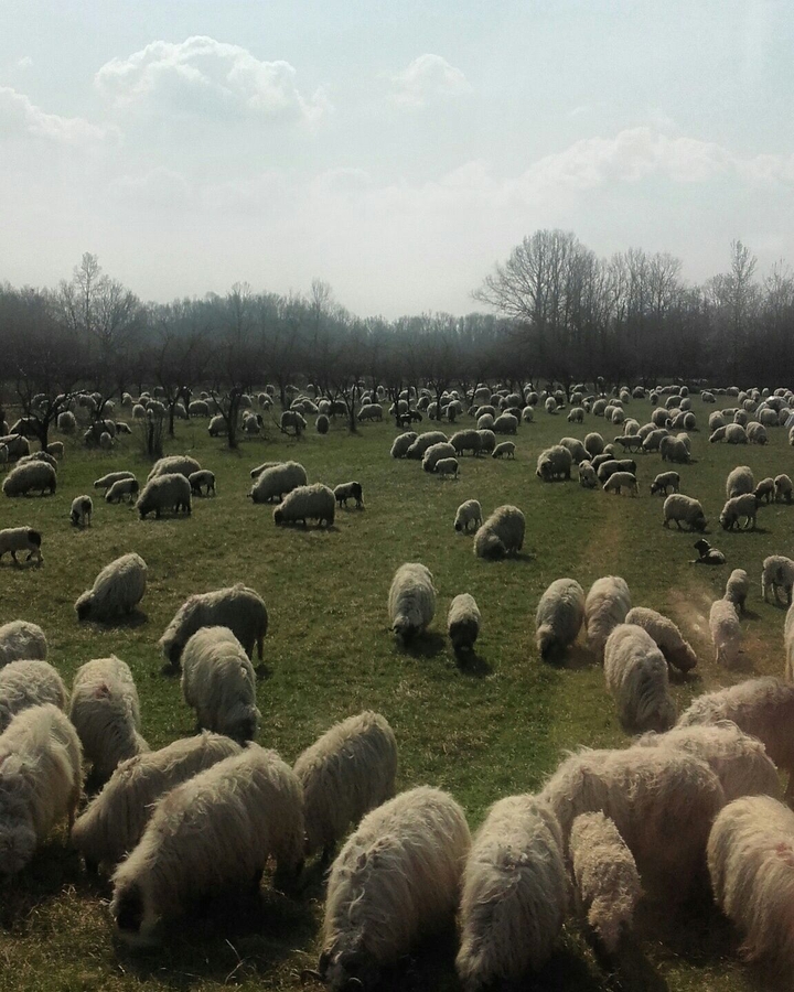 By the road