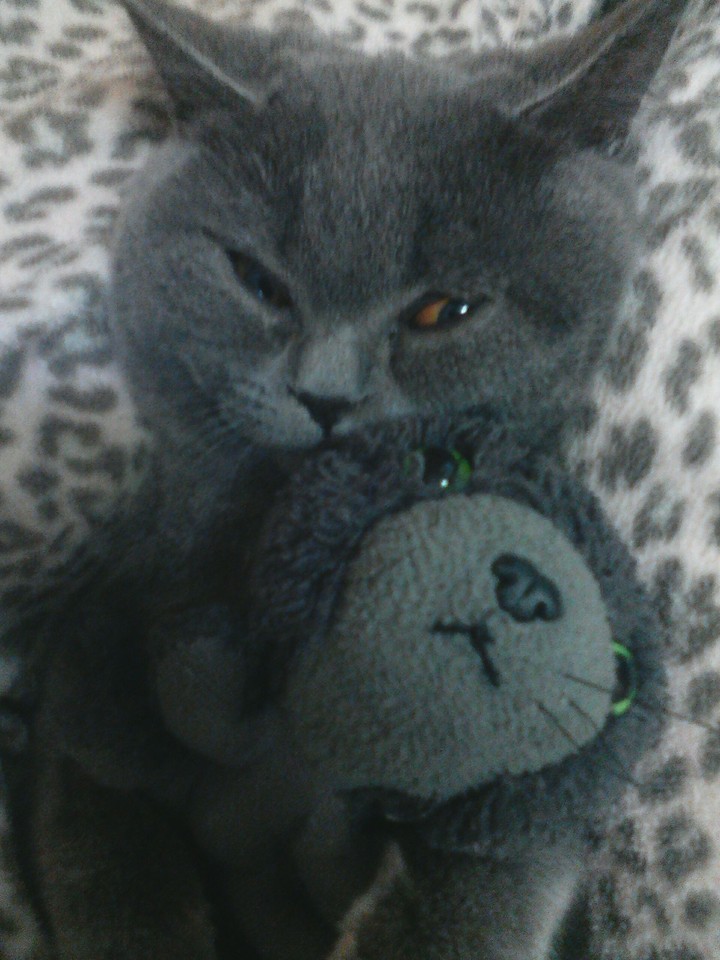 mimi