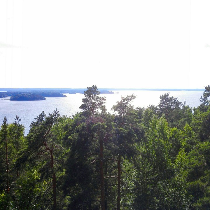 View over the lake