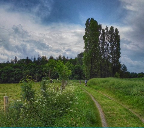 nature