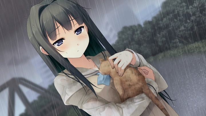 Visual Novel: Your Diary