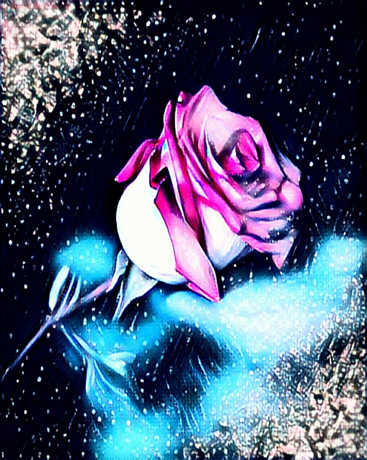 rose