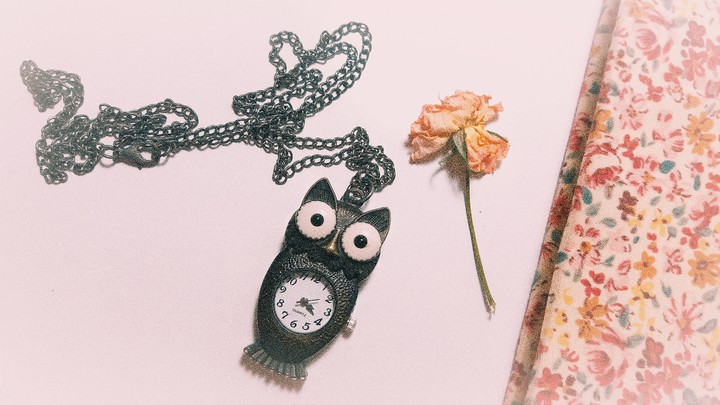 owl watch