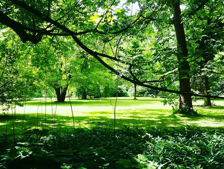Botanischer Garten, Kiel
