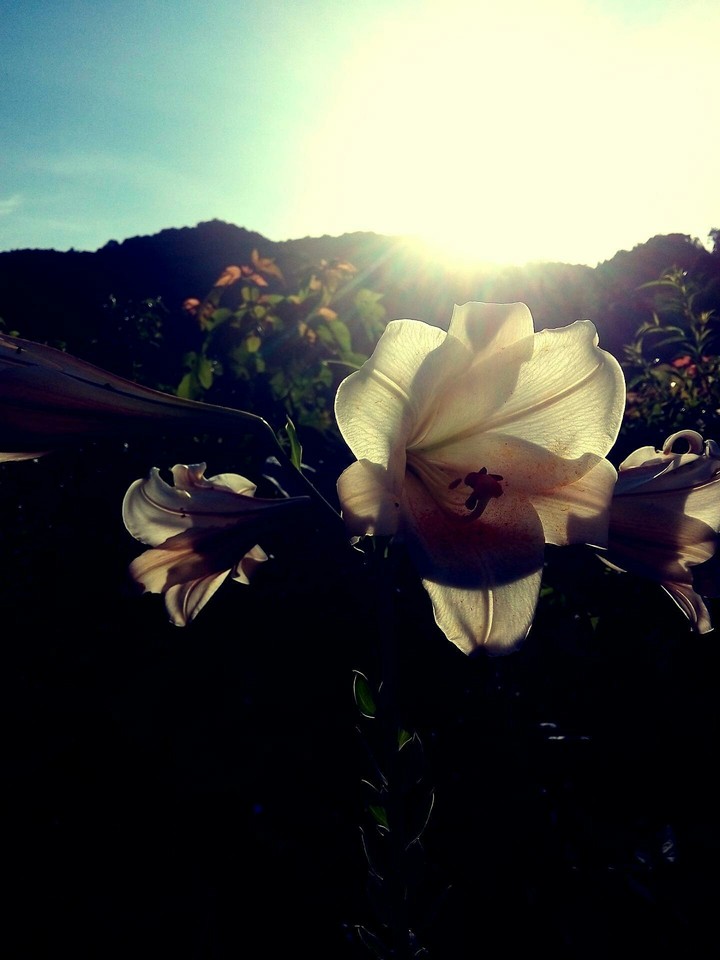 sunrise