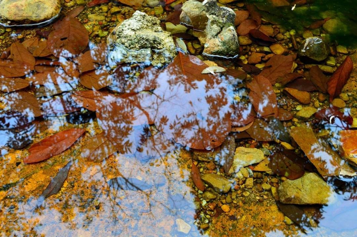 autumn