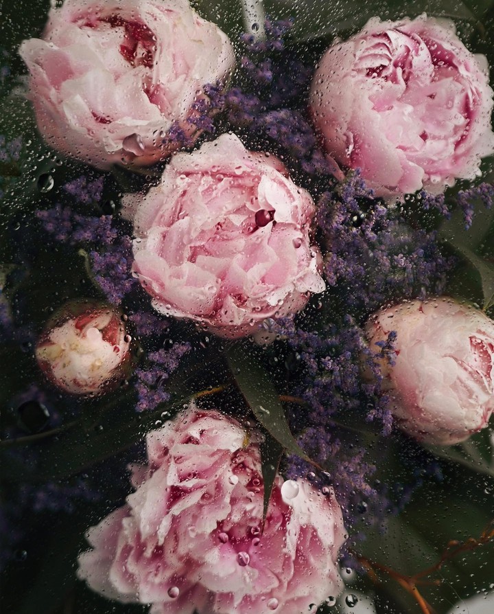 ~○｡°•♡♡♡•°｡○~